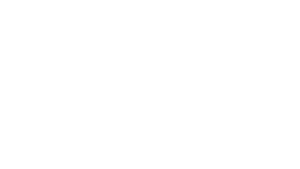 Seoul Semiconductor logo